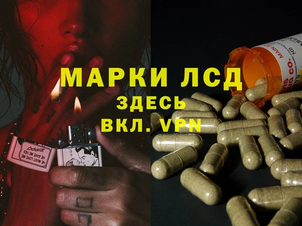 spice Валуйки