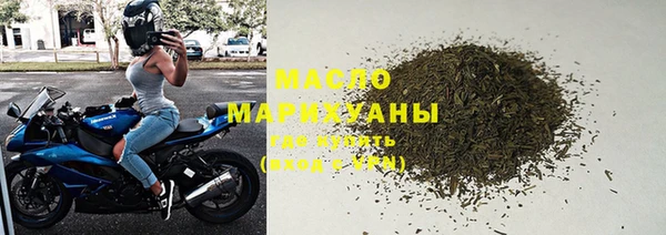 индика Березники