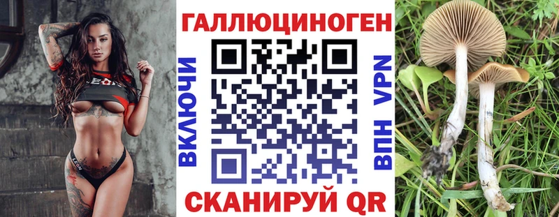 Галлюциногенные грибы Psilocybe  цены   Электроугли 